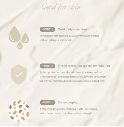 Beauty of Joseon Dynasty Cream Hydrating Face Moisturizer for Dry, Sensitive Skin, Korean Skincare for Men and Women 50ml, 1.69fl.oz