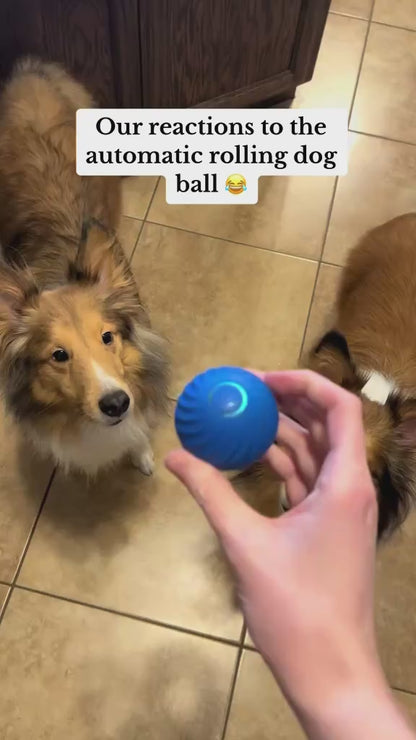 Dog Toy Ball Automatic Moving Bouncing Rolling Ball USB Smart puppy Interactive Dog Chew Toy Ball