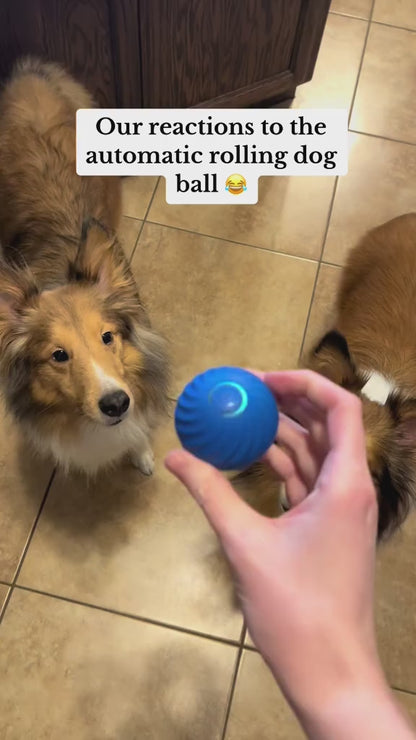 Dog Toy Ball Automatic Moving Bouncing Rolling Ball USB Smart puppy Interactive Dog Chew Toy Ball